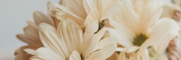 Fatima_Amer's profile banner image