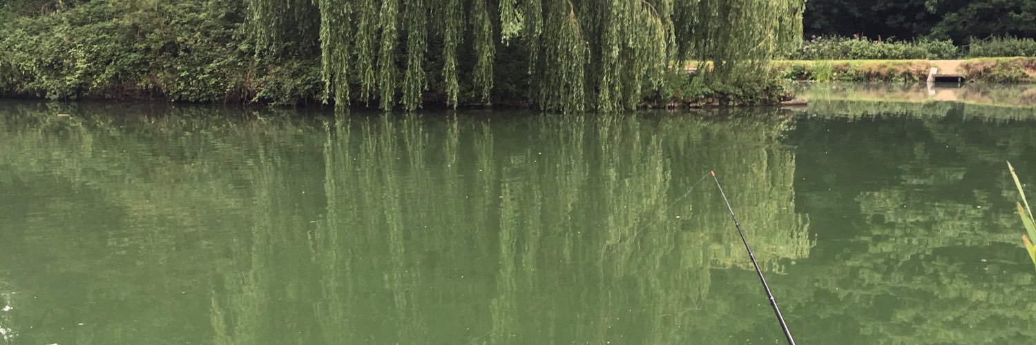 BKelly135's profile banner image