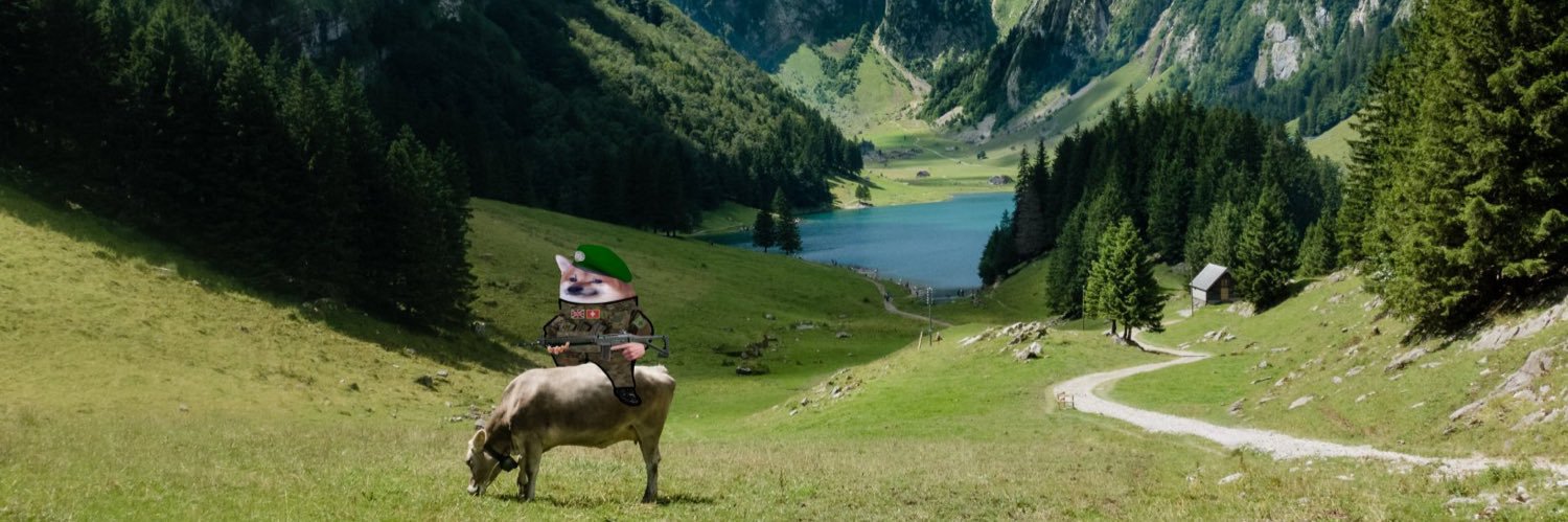 Swiss Hella Fella (SB2C) banner