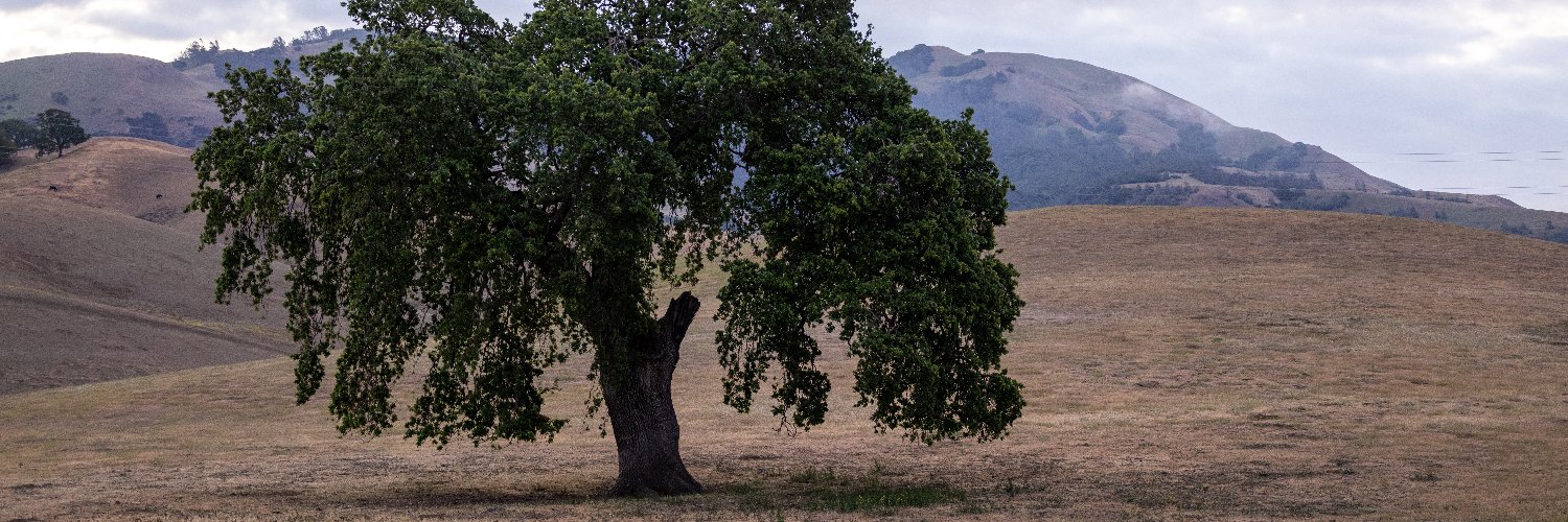 Gracestaytrue's profile banner image