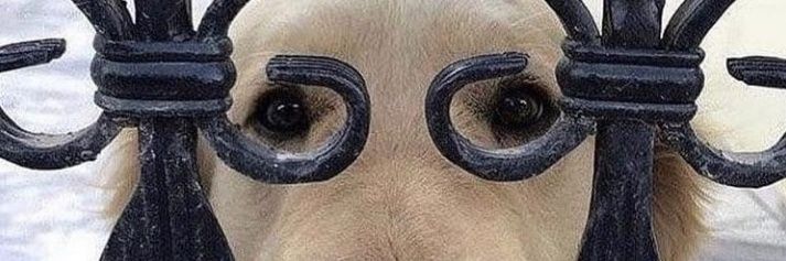 edypl's profile banner image