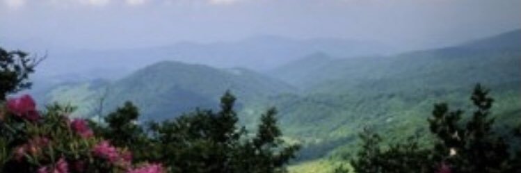 txlizstripling's profile banner image