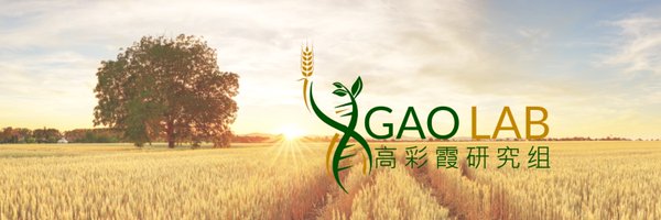 CaixiaGaoLab Profile Banner