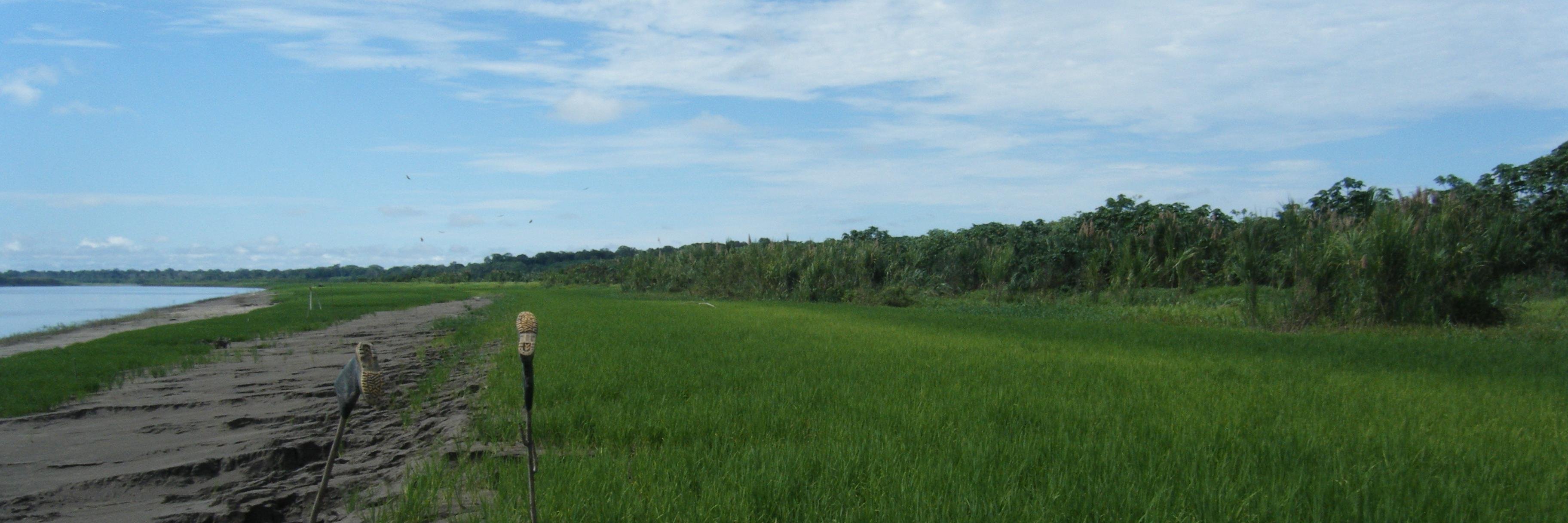 AsnaConAsma's profile banner image