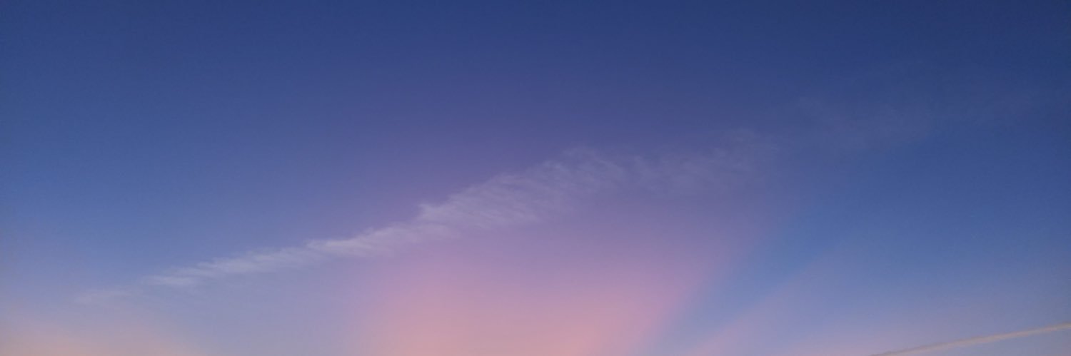 shitsjauregui's profile banner image