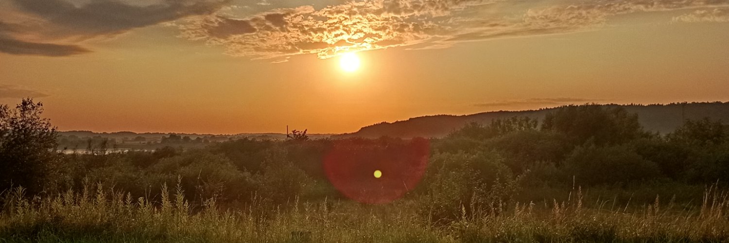 morreane's profile banner image