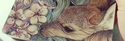 dailybeus's profile banner image