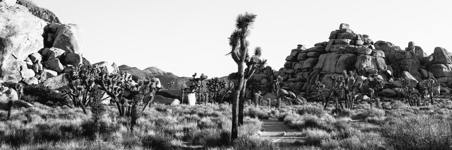 Subha Perni, MD banner