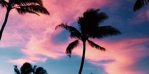 DanielaCorrea_Z's profile banner image