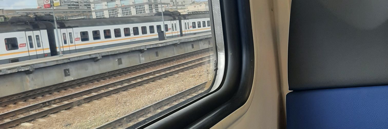 Rose 🌹🌹🌹 banner