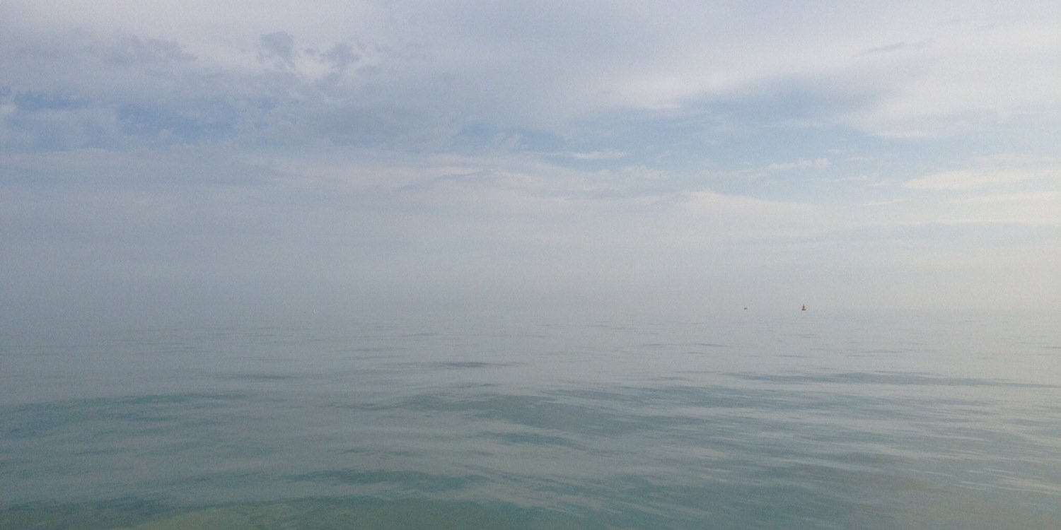 William van Dijk banner