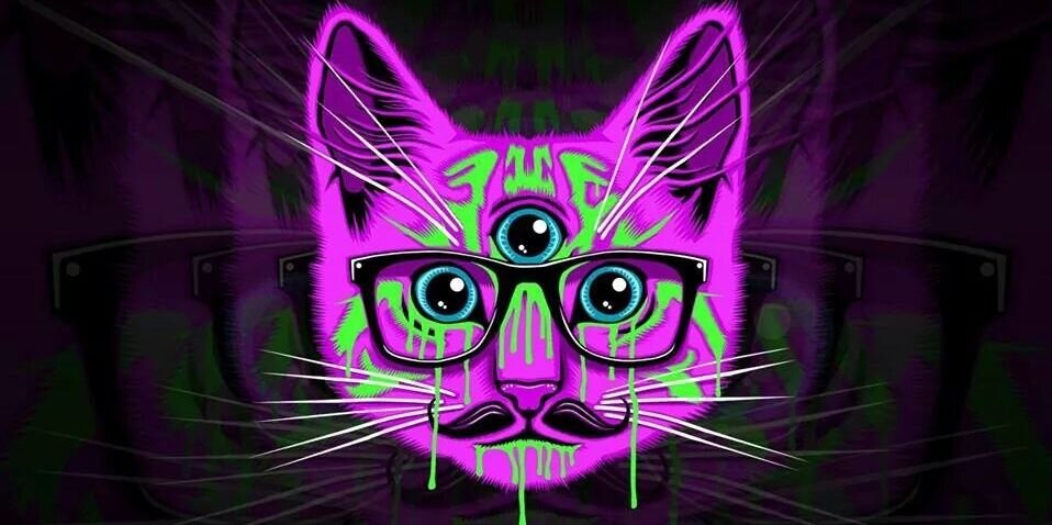 Seemywingz's profile banner image