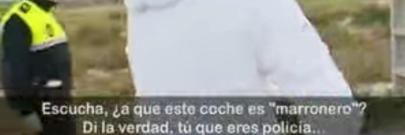 Guille banner