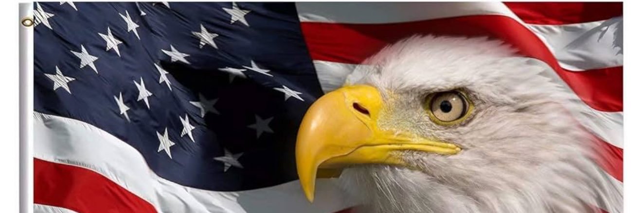 Seminolepope21's profile banner image