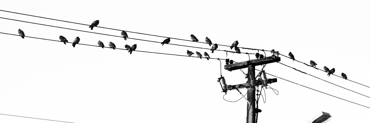 blairwalker's profile banner image