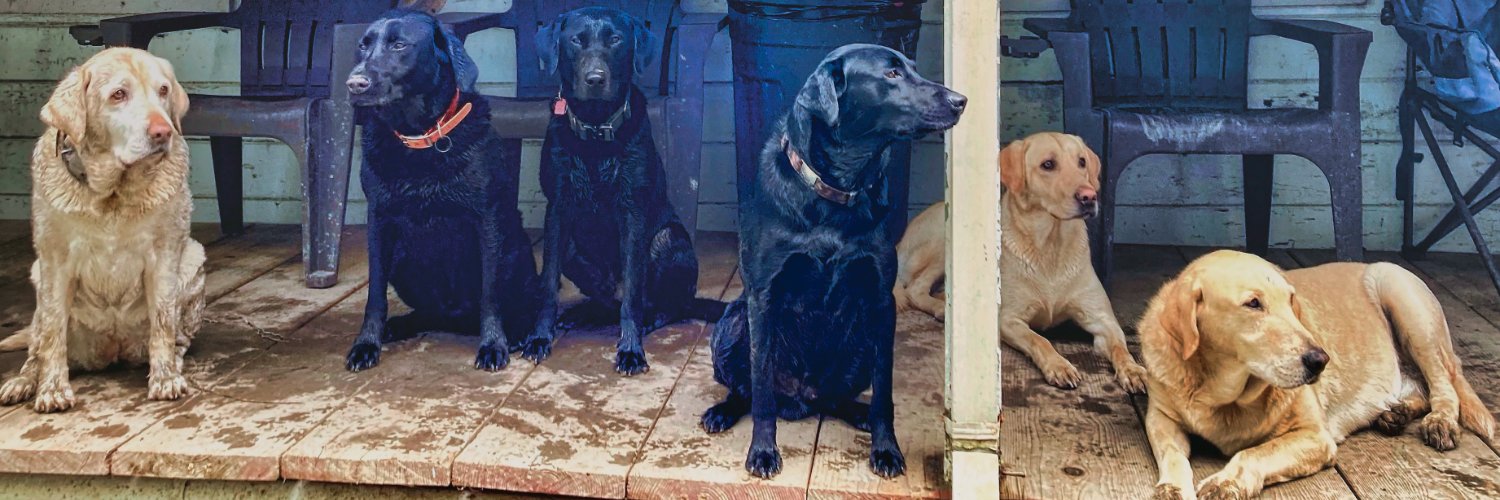 Suzerain of LJI banner