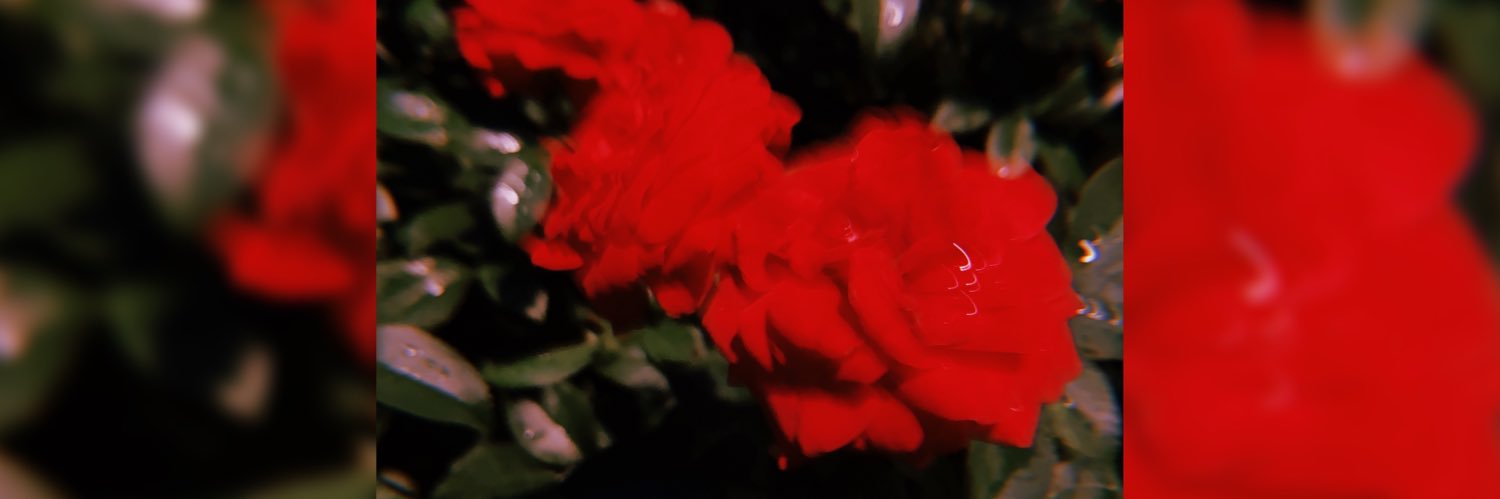 軽蔑してくれ's banner