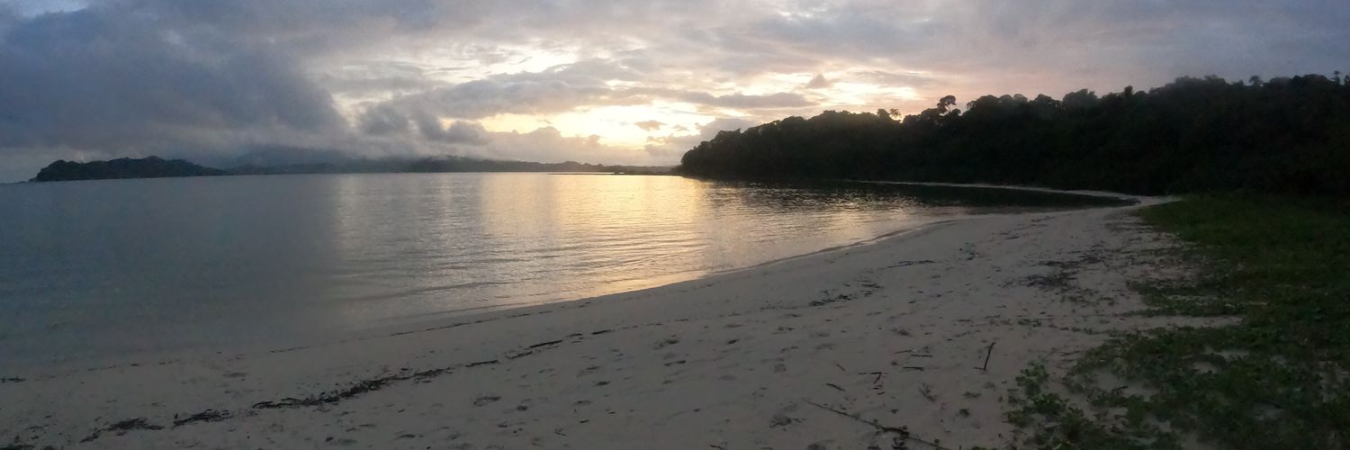 Venus 🇮🇳 l MixMOB Racer🏎️ banner