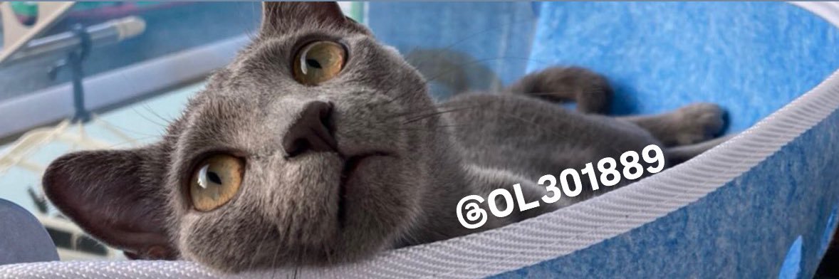 晴海ねこ🐈‍⬛ banner