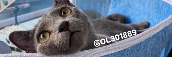 OL301889 Profile Banner