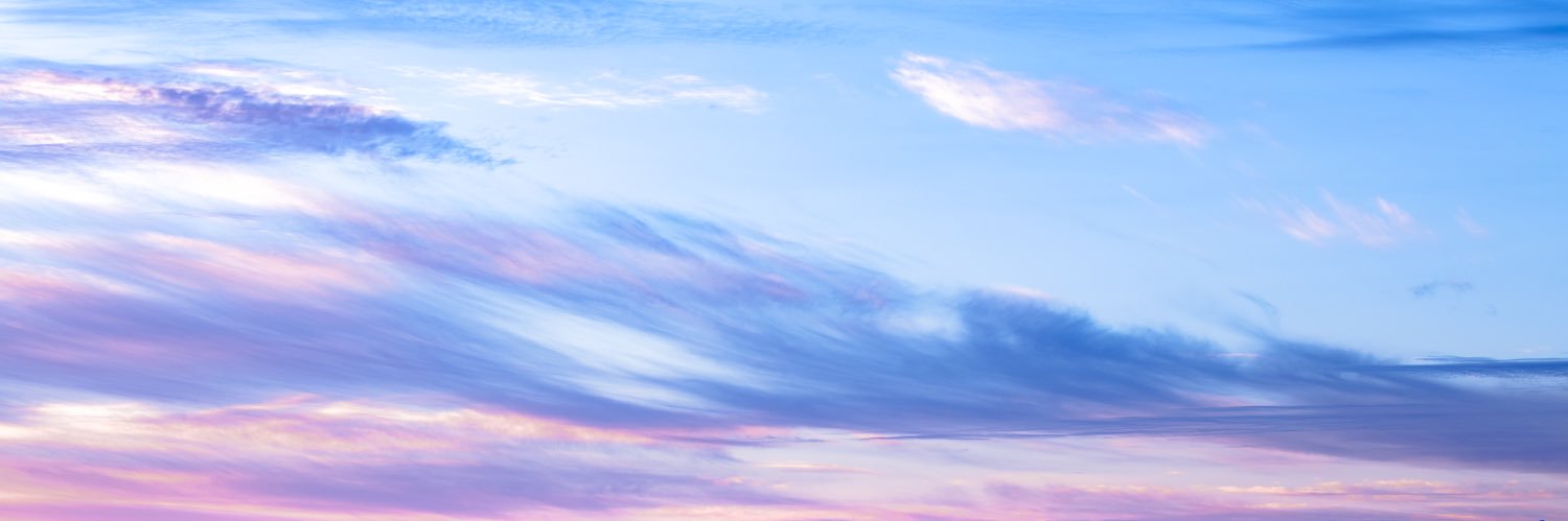 sara's banner