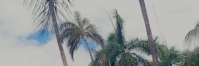 matipaclementin's profile banner image