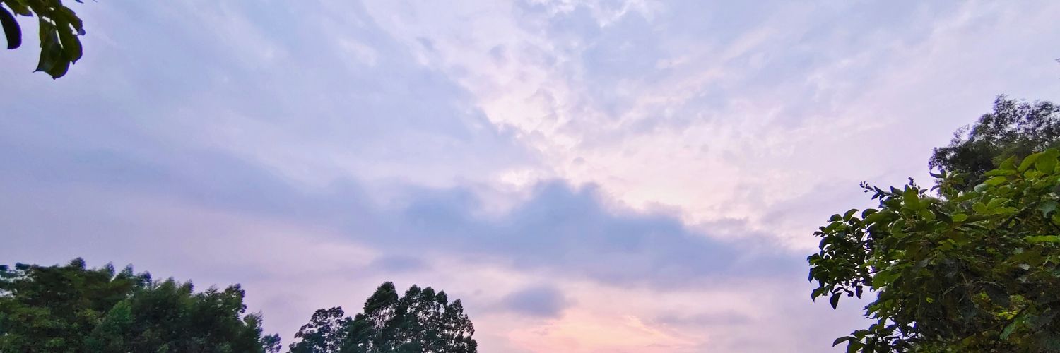 zreopen's profile banner image
