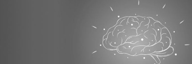 Raimundo Baravaglio banner