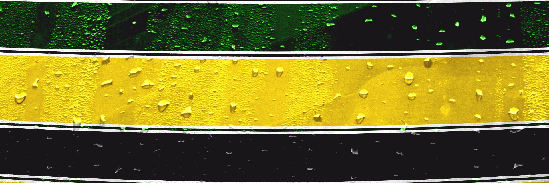 francovid's profile banner image