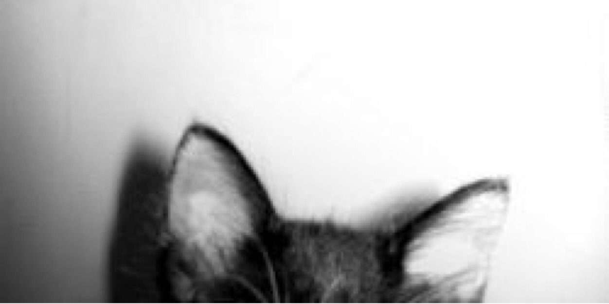 _anamaximo's profile banner image