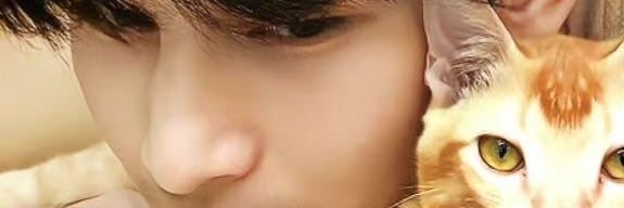 taeta888's profile banner image