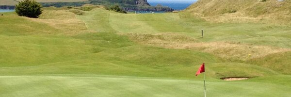 willis_macp Profile Banner