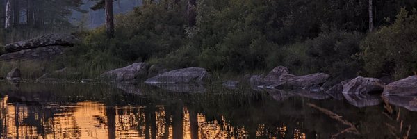 stadigast Profile Banner