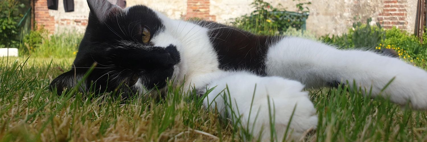 La volière de Nickpool banner