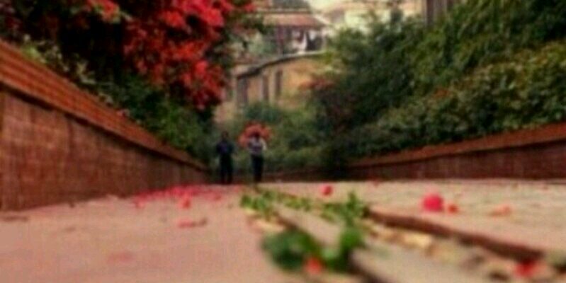 S.Al-ahmadi🇸🇦 banner