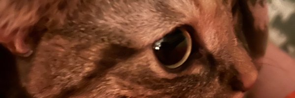 WhyTeloads Profile Banner