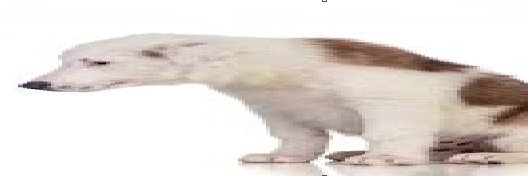 rafa, só isso mesmo banner