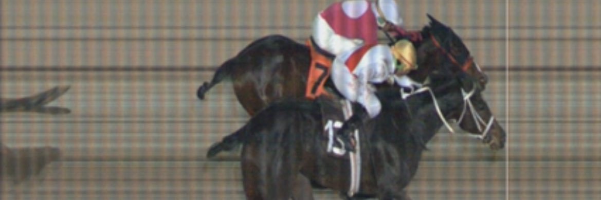 Michael Guthrie banner