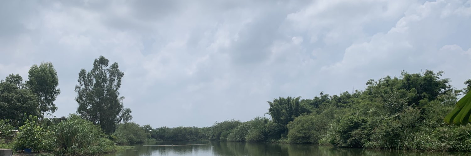 梅子酒 banner