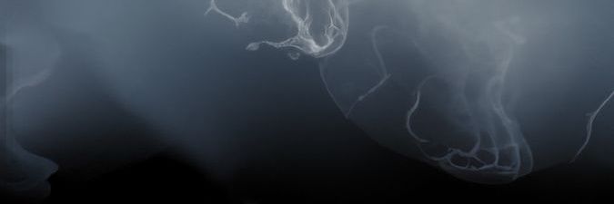 Mevrc_'s profile banner image