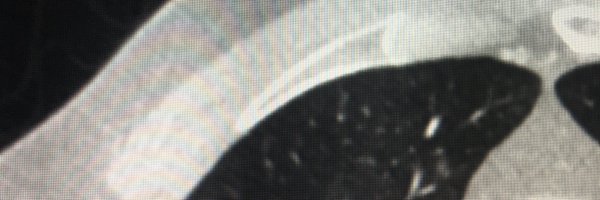 F_Fintelmann_MD Profile Banner