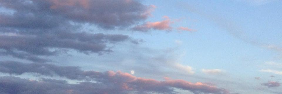 elytish's profile banner image