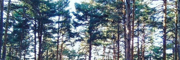 manuelaborda Profile Banner