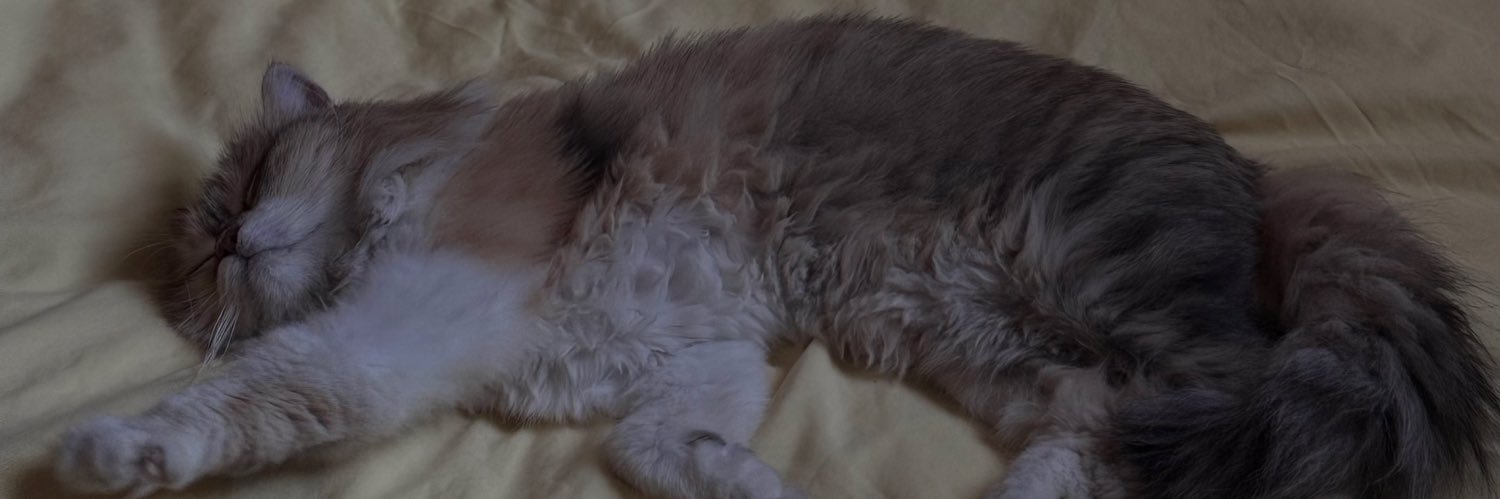 𝘈𝘭𝘢𝘯𝘰𝘶𝘥 banner