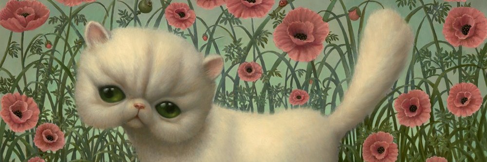 Rockolandante's profile banner image