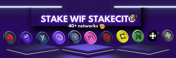 stakecito Profile Banner