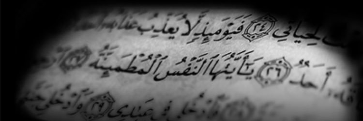 she_amal's profile banner image