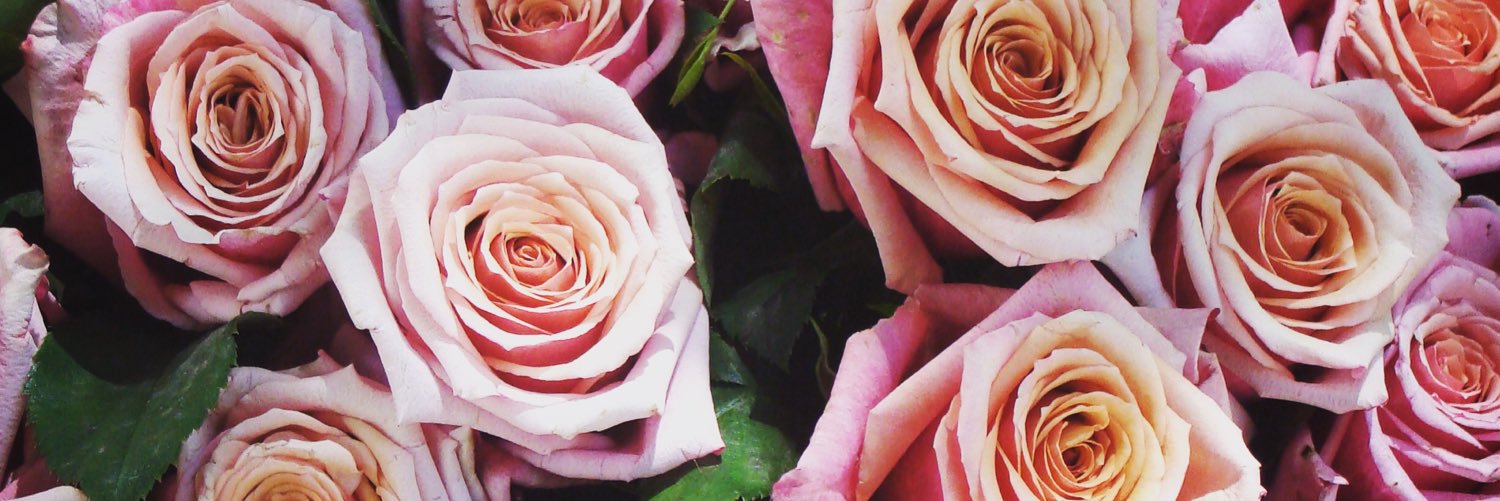 Renee Austin Wedding banner