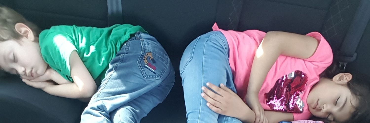 sibeltgil's profile banner image
