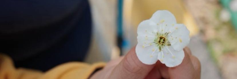 片刻柔情它骗不了人 banner